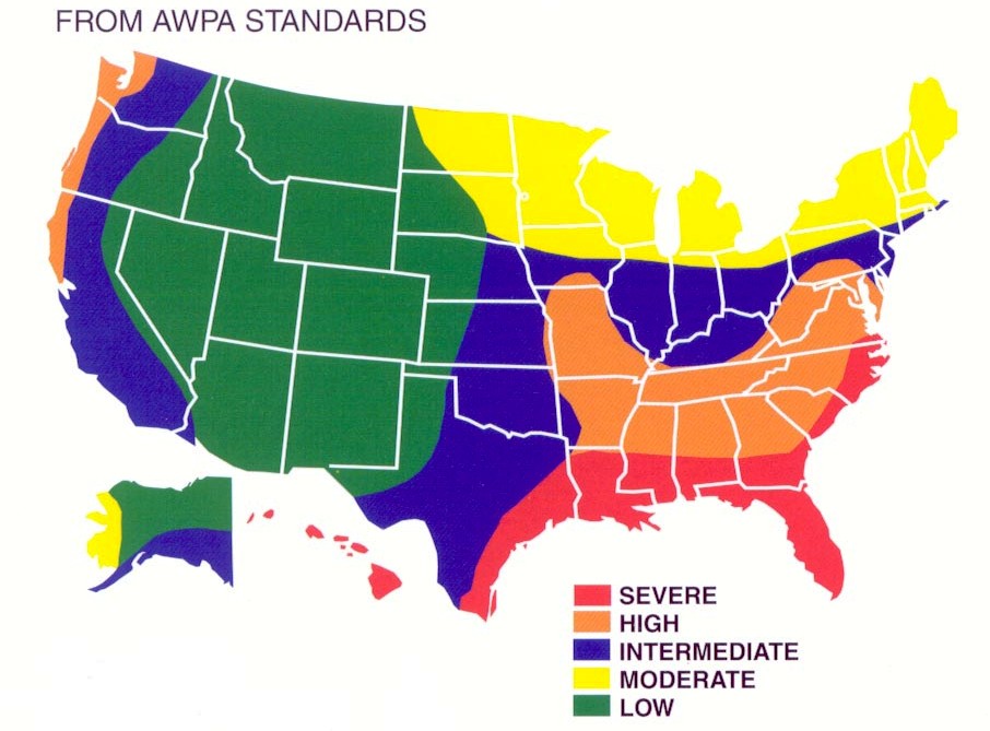 Termite Zone Termite